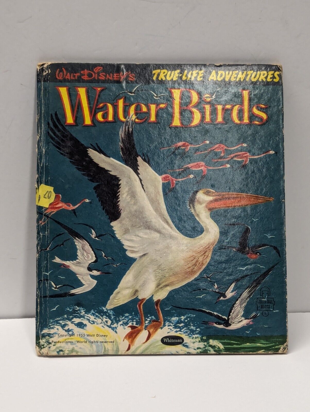 1955 Walt Disney's Water Birds TRUE-LIFE ADVENTURES Whitman Publishing Co