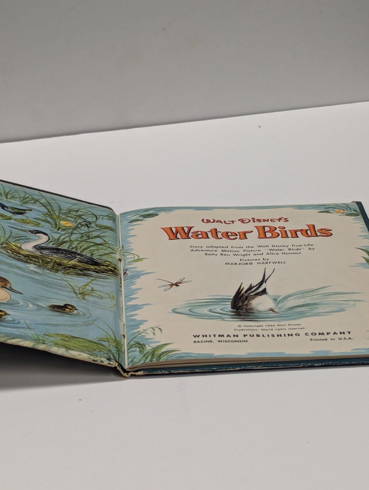 1955 Walt Disney's Water Birds TRUE-LIFE ADVENTURES Whitman Publishing Co