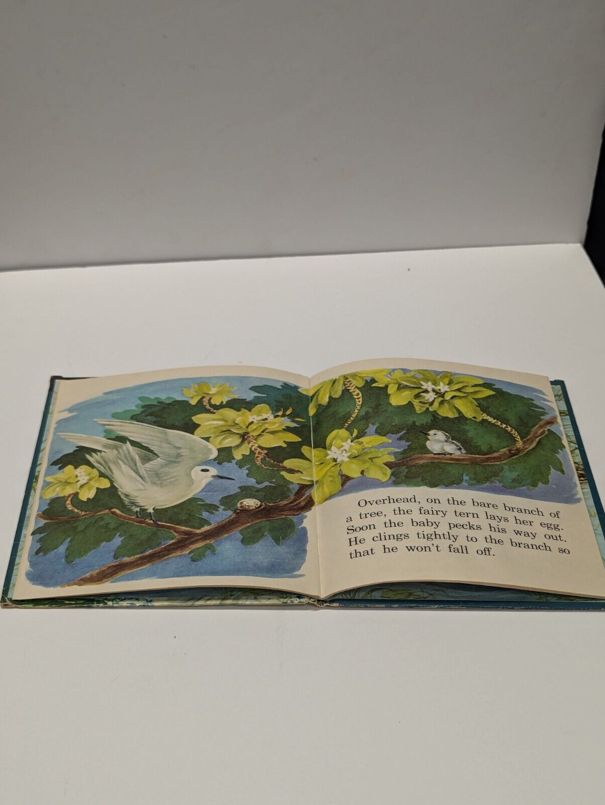 1955 Walt Disney's Water Birds TRUE-LIFE ADVENTURES Whitman Publishing Co